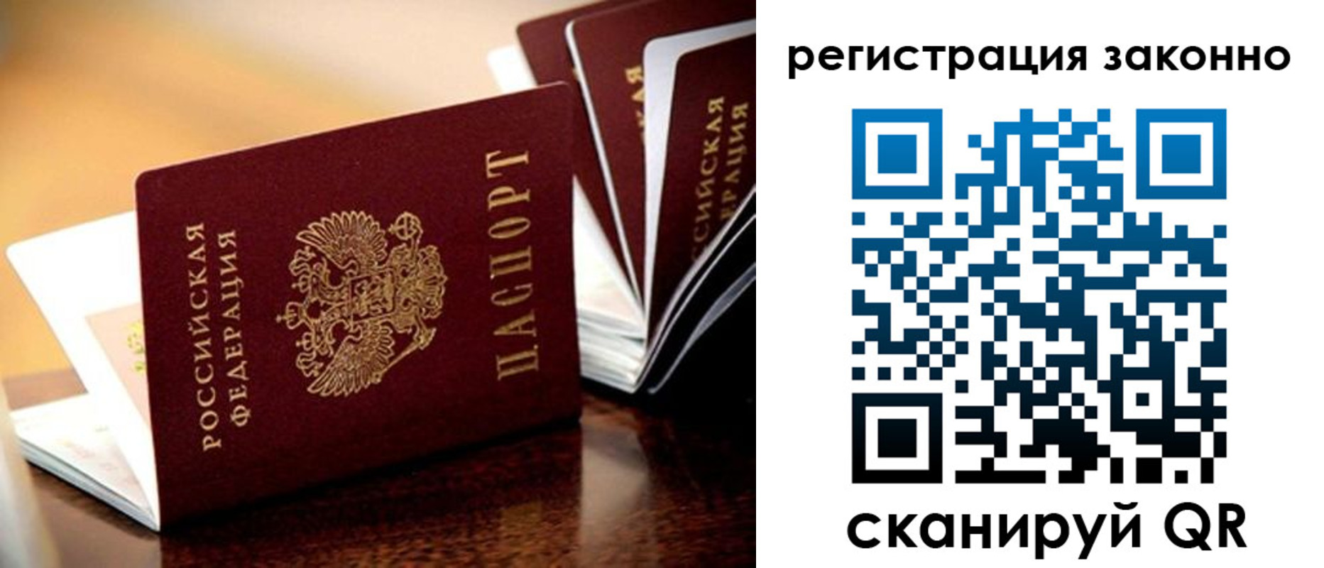 прописка для школы в Курской области